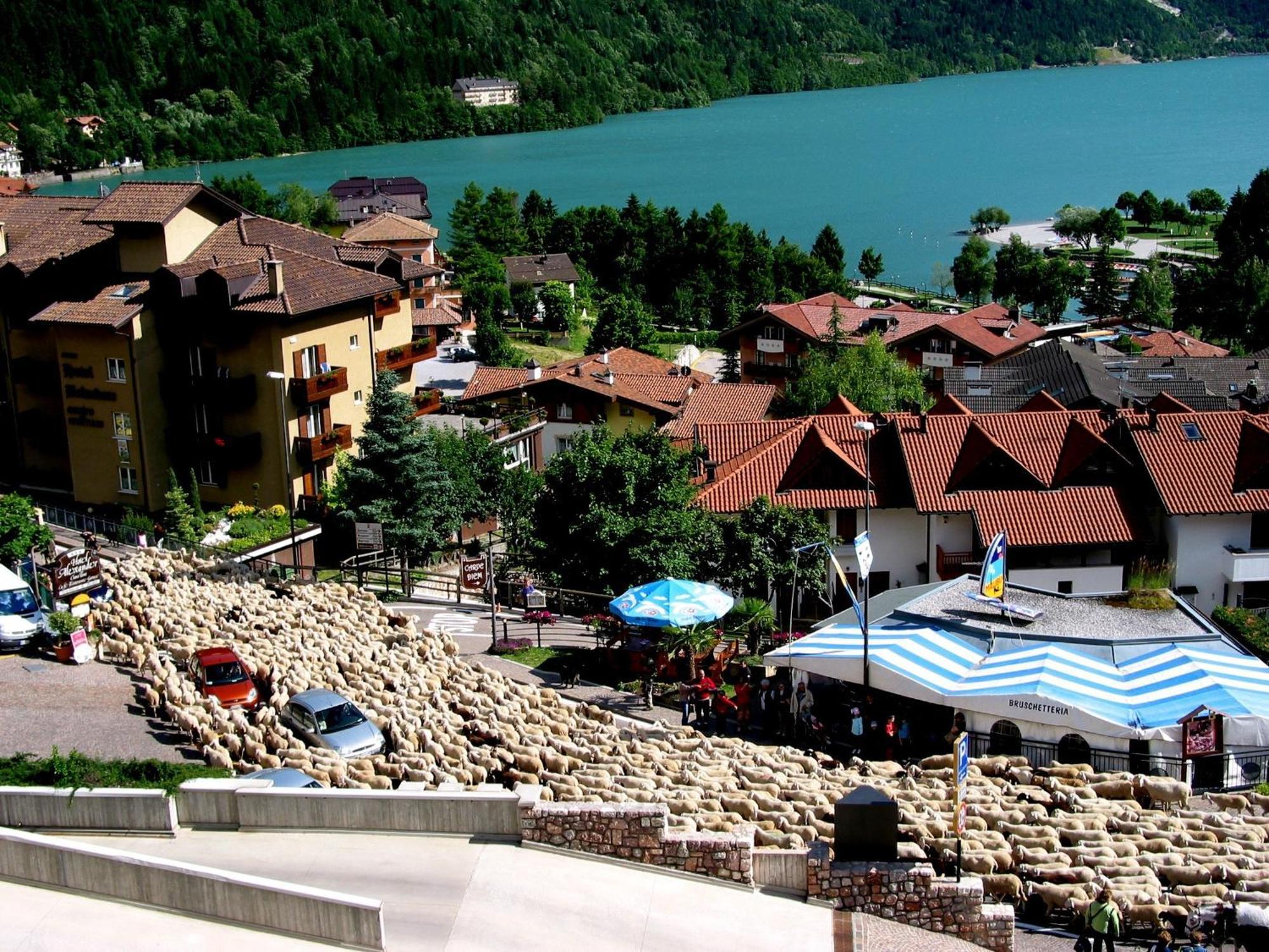 Albergo Stella Alpina Molveno Ngoại thất bức ảnh